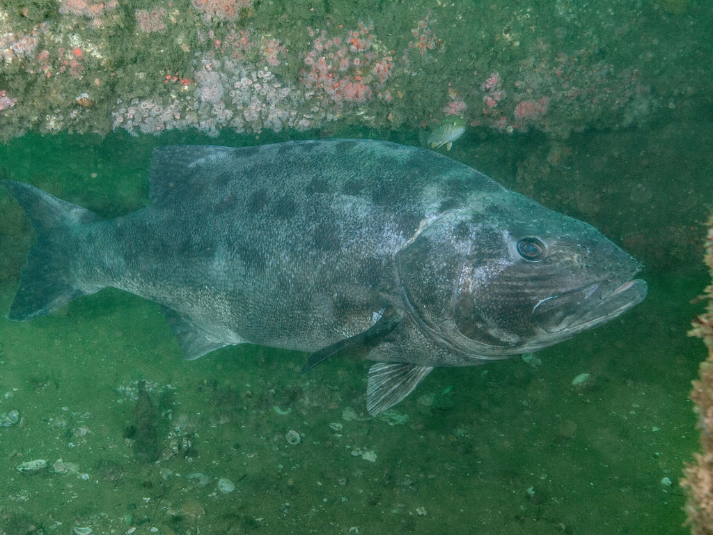 09fd514d-44aa-440b-98e5-a9ce4c9c07cd