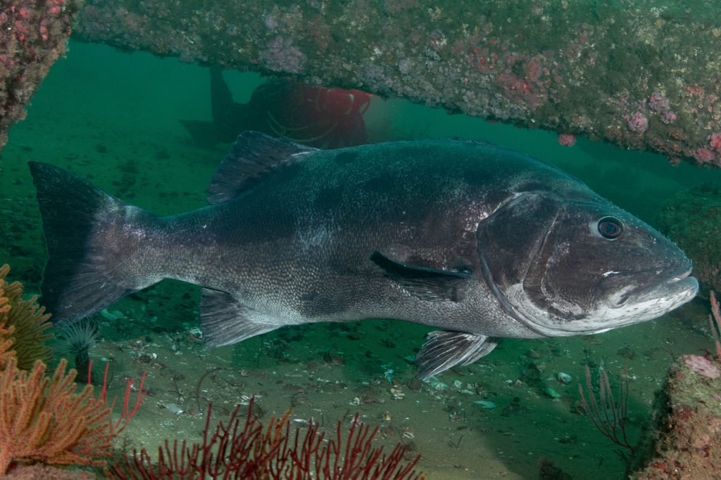 eeea937b-23a7-440e-8d18-d99b82f12eac