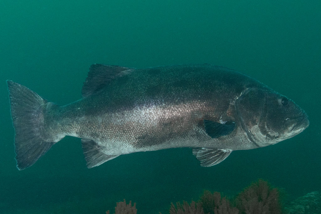 eeea937b-23a7-440e-8d18-d99b82f12eac