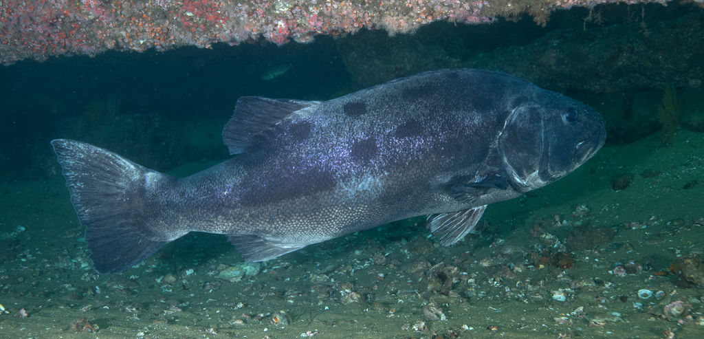 eeea937b-23a7-440e-8d18-d99b82f12eac