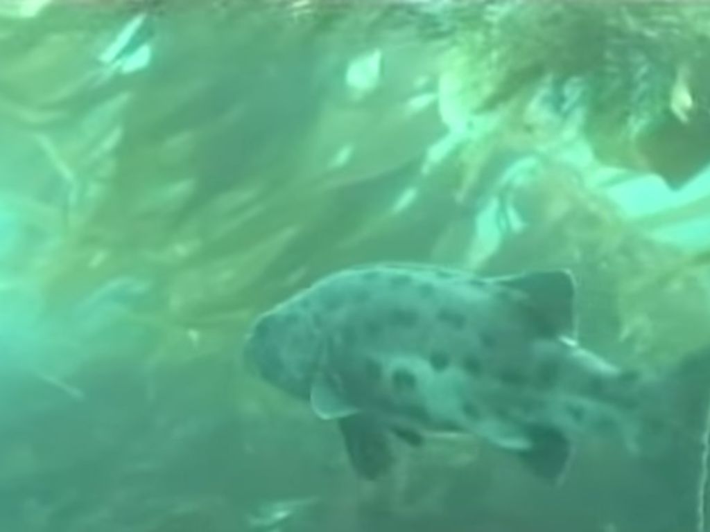 1c21a9d0-5d35-4711-a249-a91ab1c23901