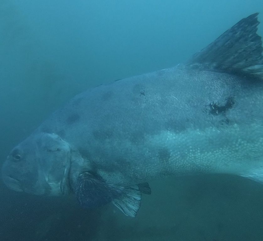 5e26d687-1d8f-424c-a07f-ff7c9a9281a2