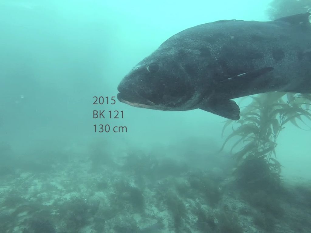 aba7df50-86dc-4a54-8f3d-bdde432b3083