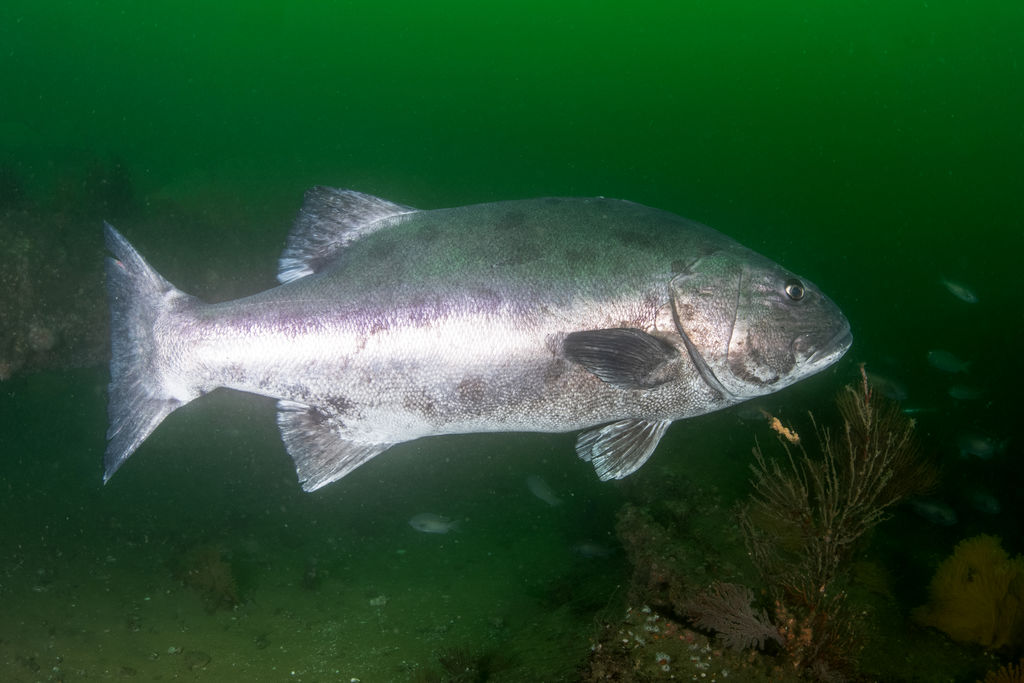 d0241bdb-c33c-449b-a9c4-eae00dc4b48d