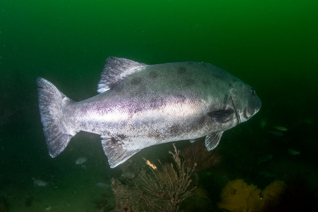 d0241bdb-c33c-449b-a9c4-eae00dc4b48d