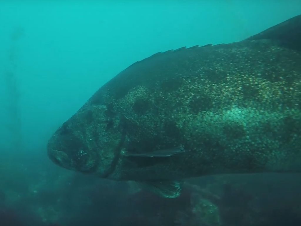 3e815a94-dde9-4935-9dc5-eb62b92f5b51