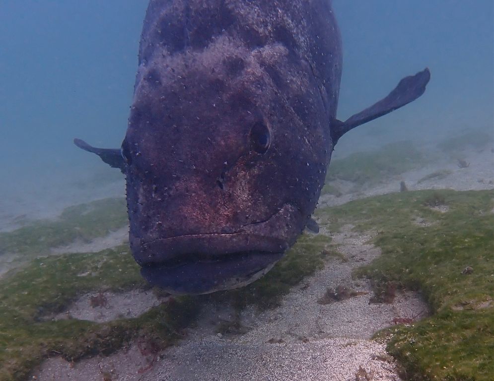 dae82506-d762-461e-b5e2-6e01f667ebe5