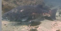 54b275bb-6cae-46b8-b40b-afa29c1b50f3