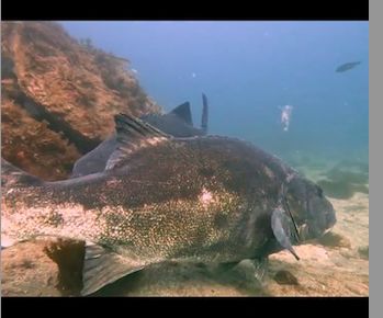 54b275bb-6cae-46b8-b40b-afa29c1b50f3