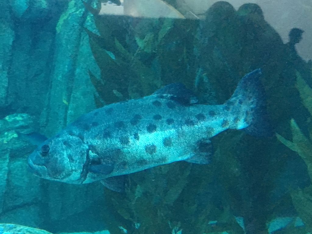 0ad09d61-f1e2-4640-a302-02156f60721a