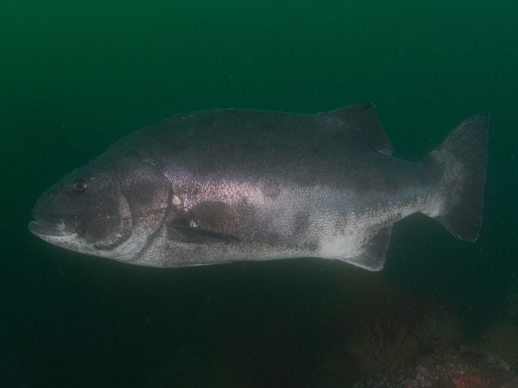 ab348a65-3e87-41ae-b843-affc765f7ff9