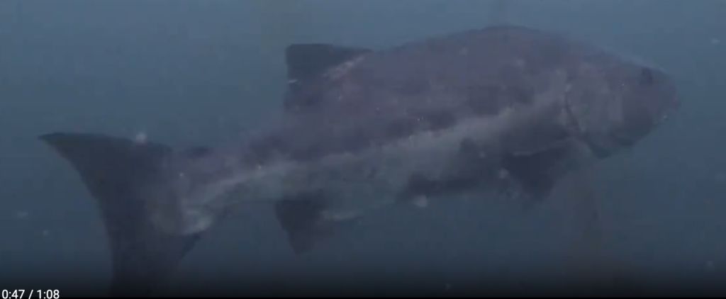 257ee2c5-de84-4b0f-afc9-69c7fa311258