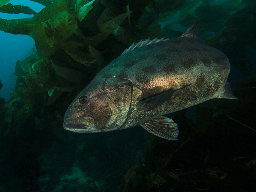 ce018a52-f6f4-469a-b785-b881366c9e32