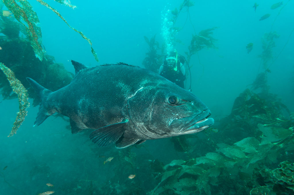 b2f309e7-64ff-4665-a48d-9bbbdf99e177