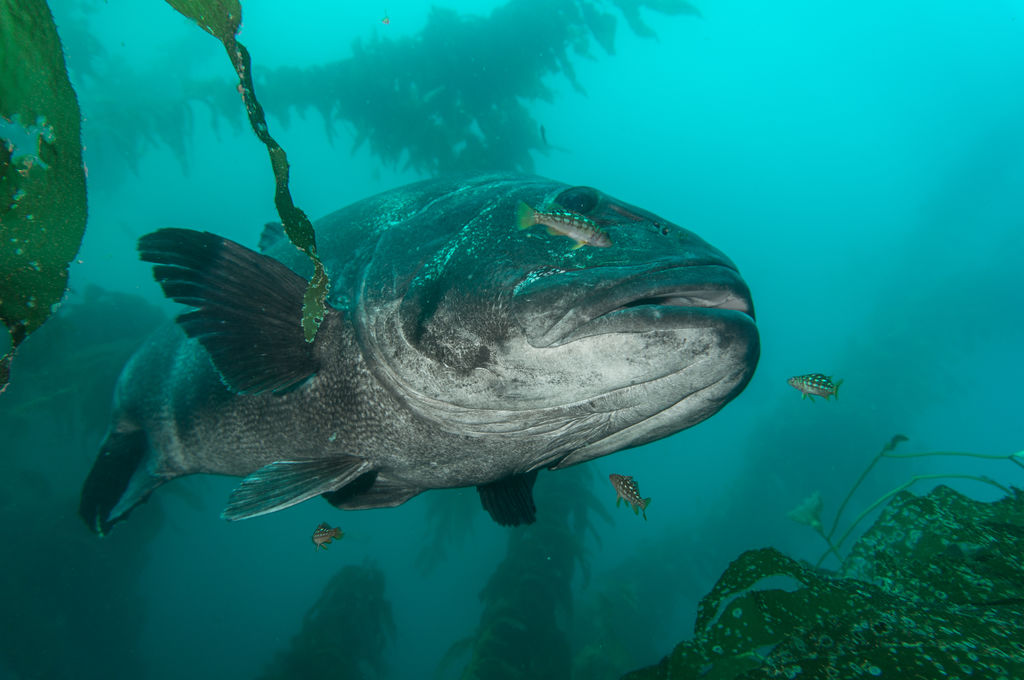 b2f309e7-64ff-4665-a48d-9bbbdf99e177