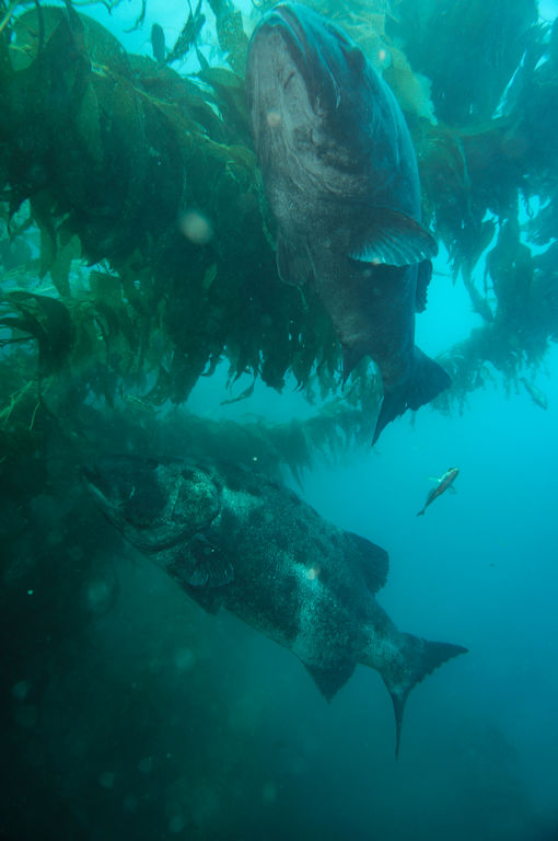 b2f309e7-64ff-4665-a48d-9bbbdf99e177