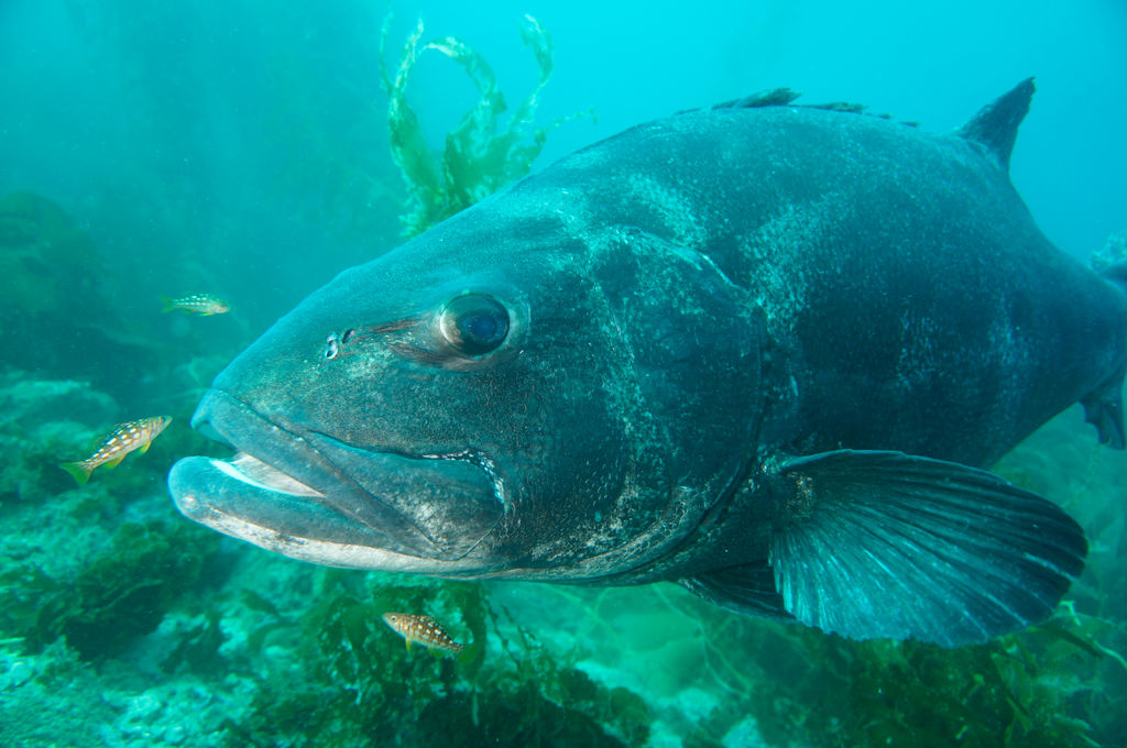 b2f309e7-64ff-4665-a48d-9bbbdf99e177