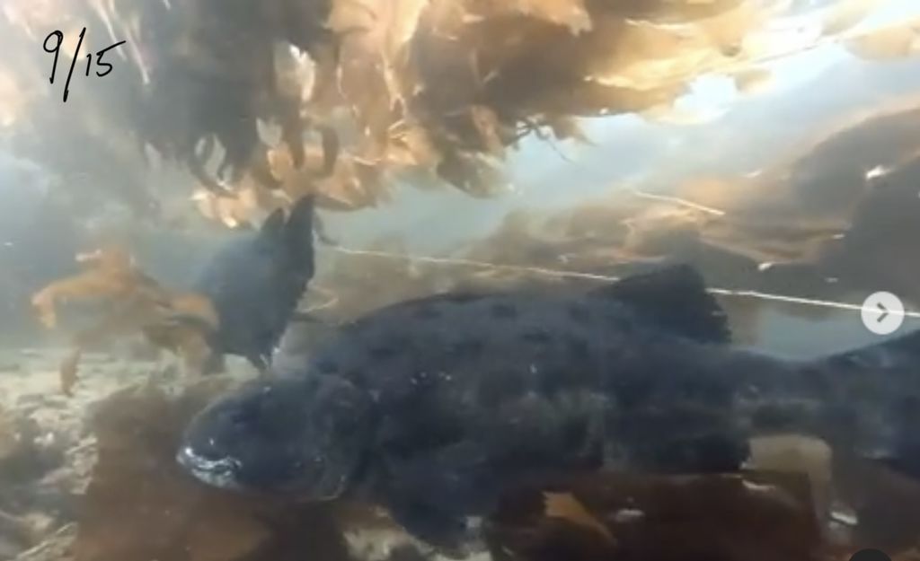 4b6d39bb-e626-469b-b81e-898758c6234d