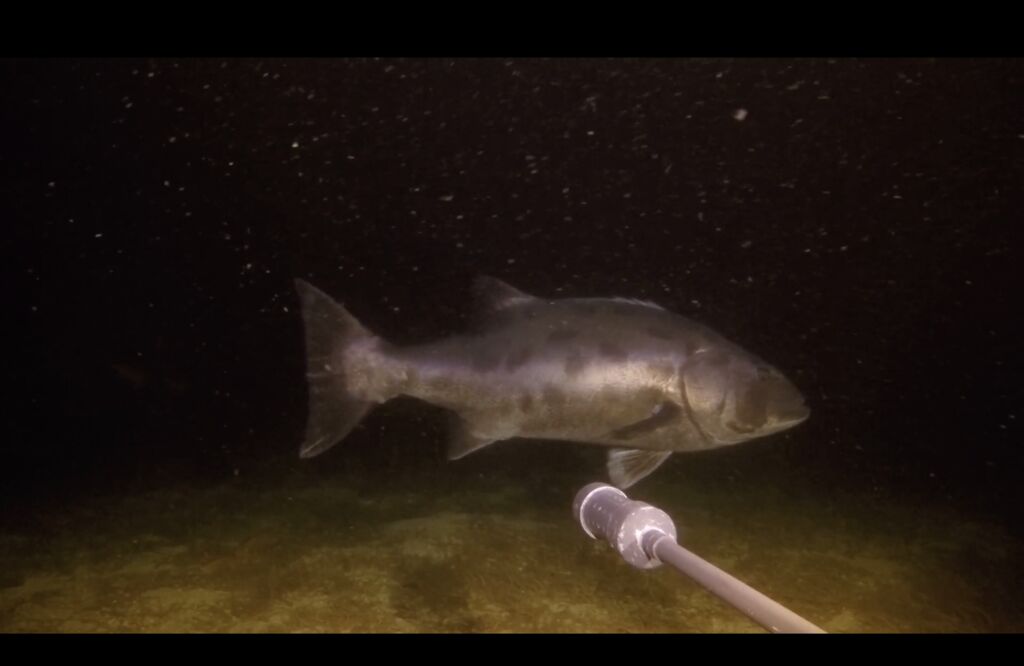 36fb954e-ecdd-42db-b8f8-4dd8f47982f6