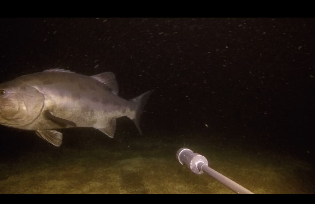 36fb954e-ecdd-42db-b8f8-4dd8f47982f6