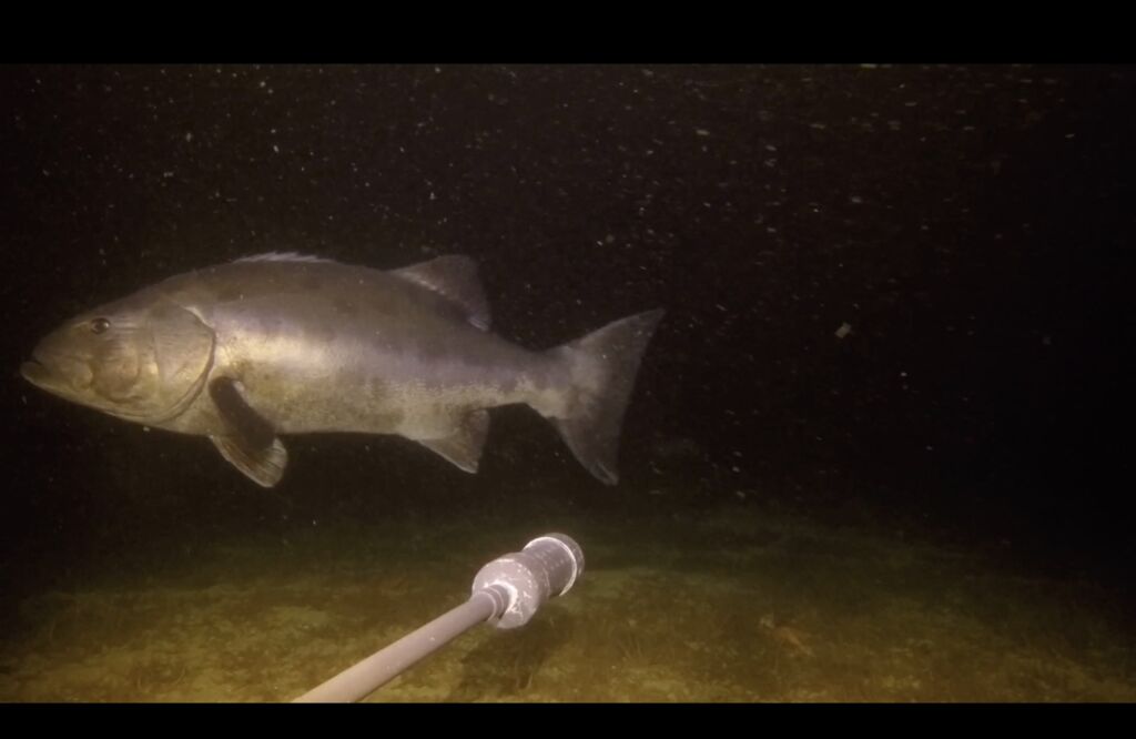 36fb954e-ecdd-42db-b8f8-4dd8f47982f6