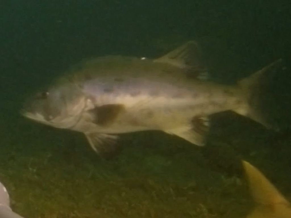 8ca17835-a67d-4f3b-abd0-e1e10ecb2a4b