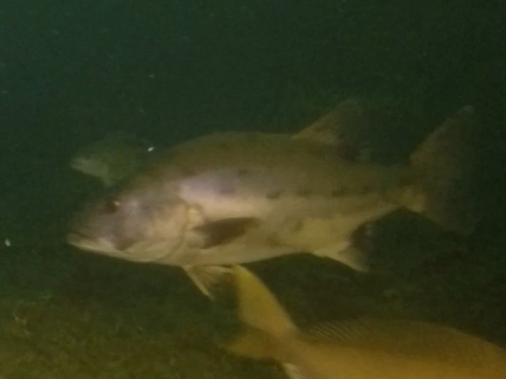 8ca17835-a67d-4f3b-abd0-e1e10ecb2a4b