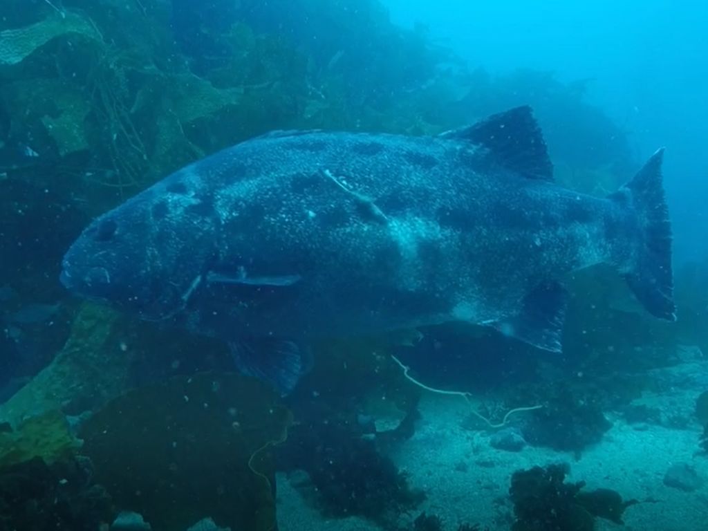 9c2c366c-061d-4f06-8ad2-1b509d04c516