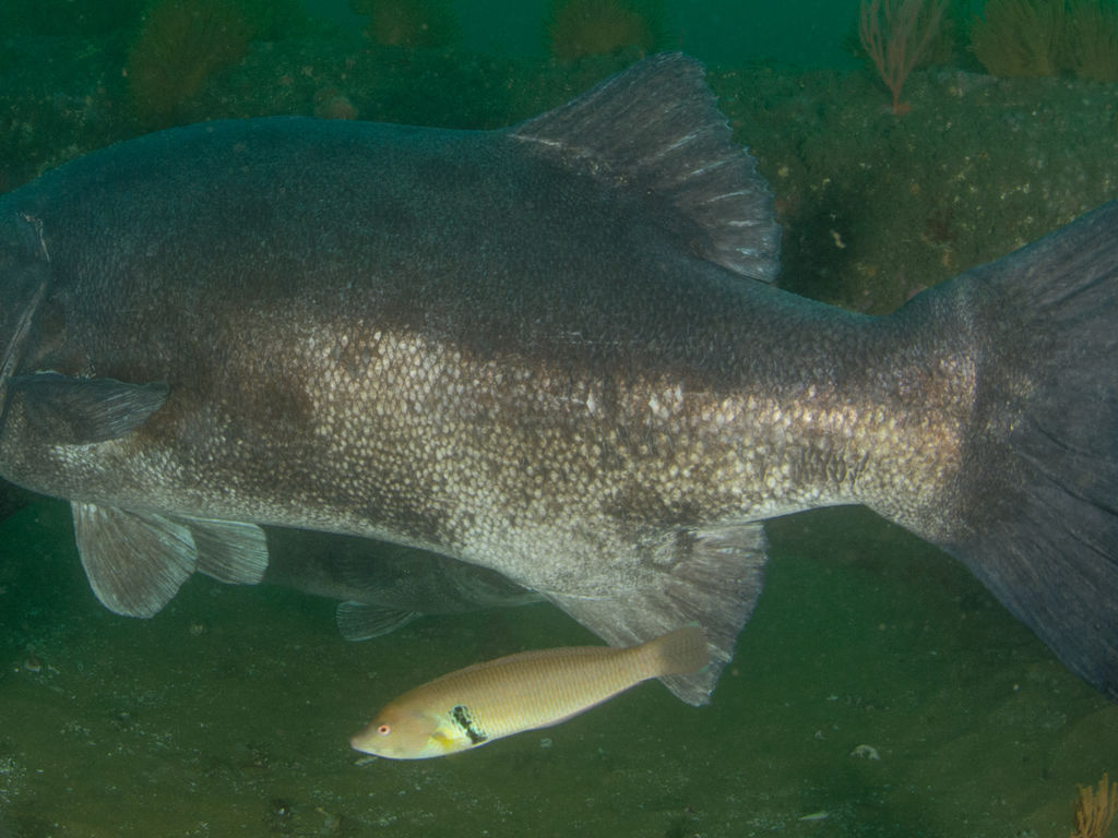 fd9c7e2f-b162-4798-80ed-e480c2a77973