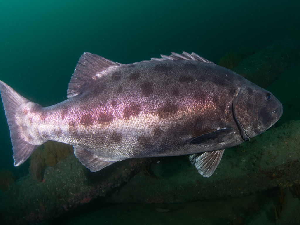 d7f9d87d-4d91-43af-97af-2b4abc87ff24