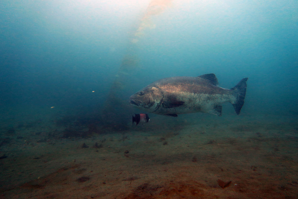 87ca64ec-b2ef-44b7-976f-c8f31731770c