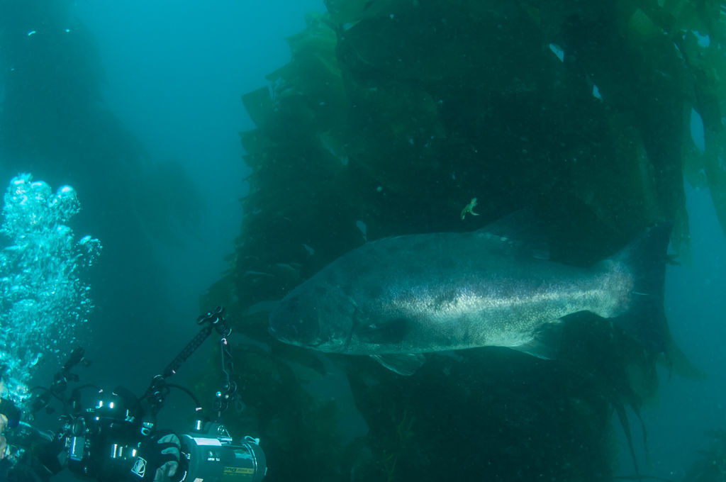 f13b0294-92ac-489c-9a0b-60589a4fb49c