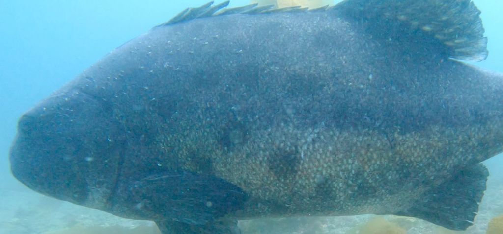 fbbf0750-4f91-497b-a6d4-955ddef31fa1