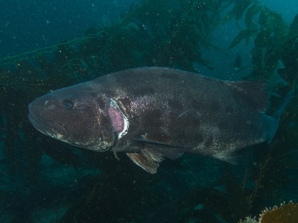 26c0d104-3f69-4d88-935a-20076757b035