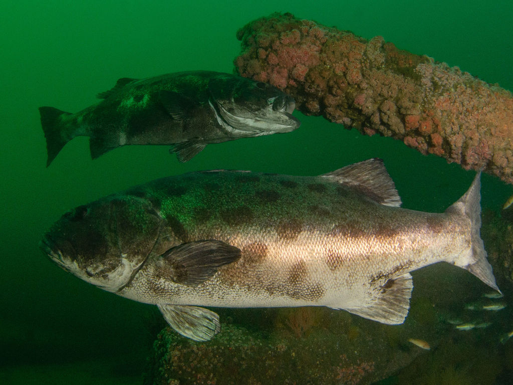 3164c809-77d6-4714-b4ca-f43e417e2ce0