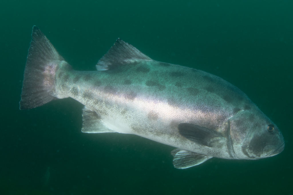 01014513-3a27-4fba-bd48-4993197ddb2a