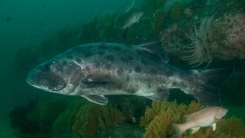 01014513-3a27-4fba-bd48-4993197ddb2a