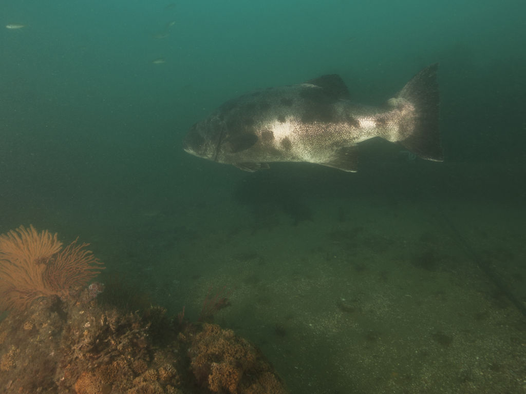 27c81f29-db9b-4994-8678-637f2b4fdb80