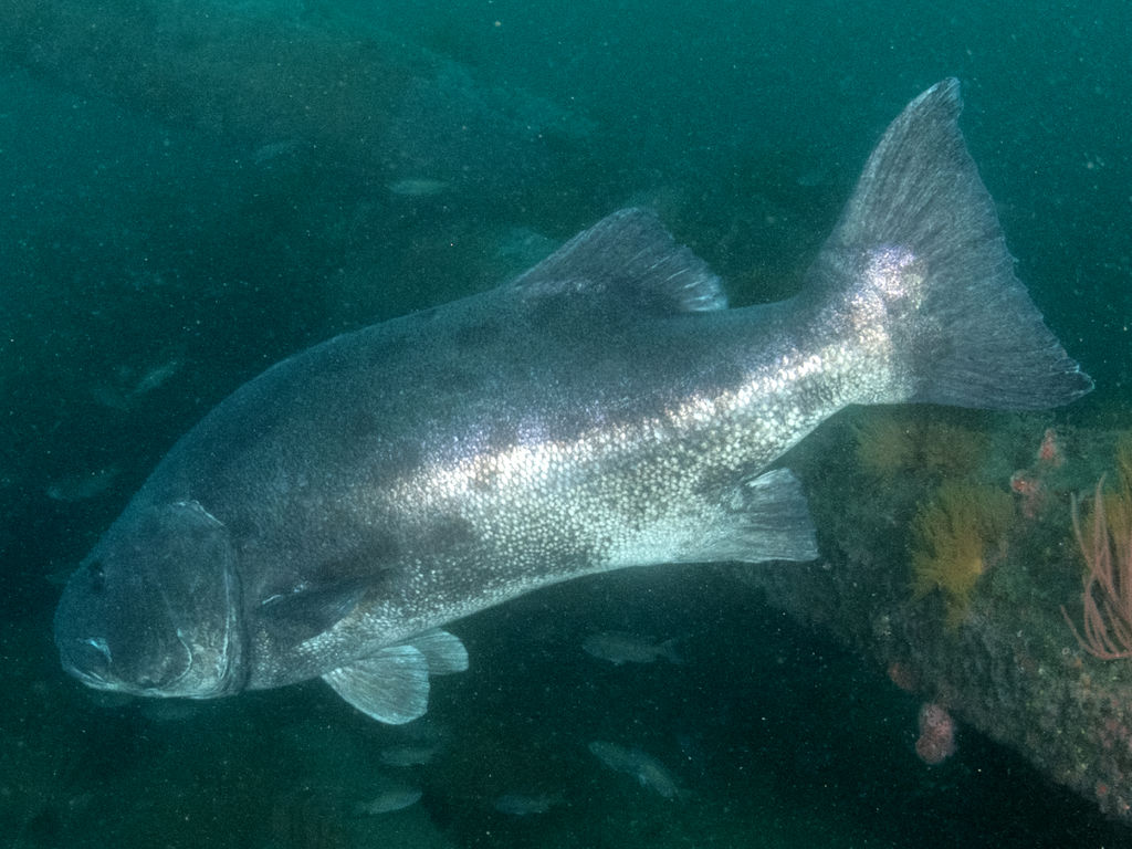 fd9c7e2f-b162-4798-80ed-e480c2a77973