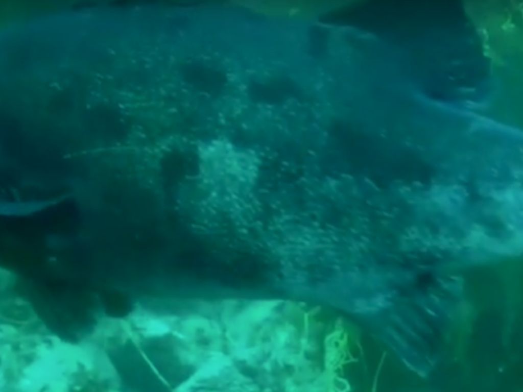 83a49973-3c71-474b-8216-78f992f5d369