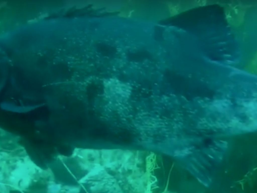 83a49973-3c71-474b-8216-78f992f5d369