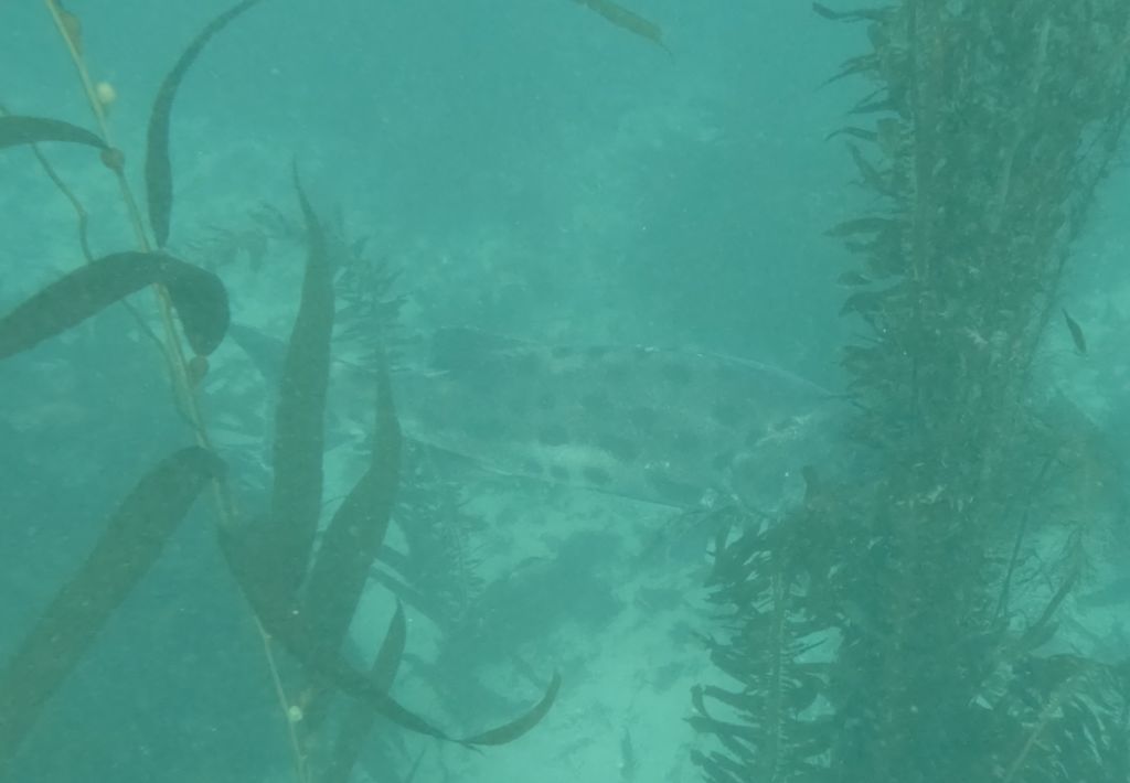 be11ec14-78ad-45d8-90f7-fce16b7faa5c