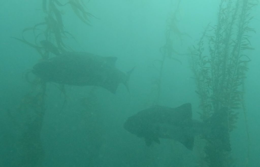 be11ec14-78ad-45d8-90f7-fce16b7faa5c