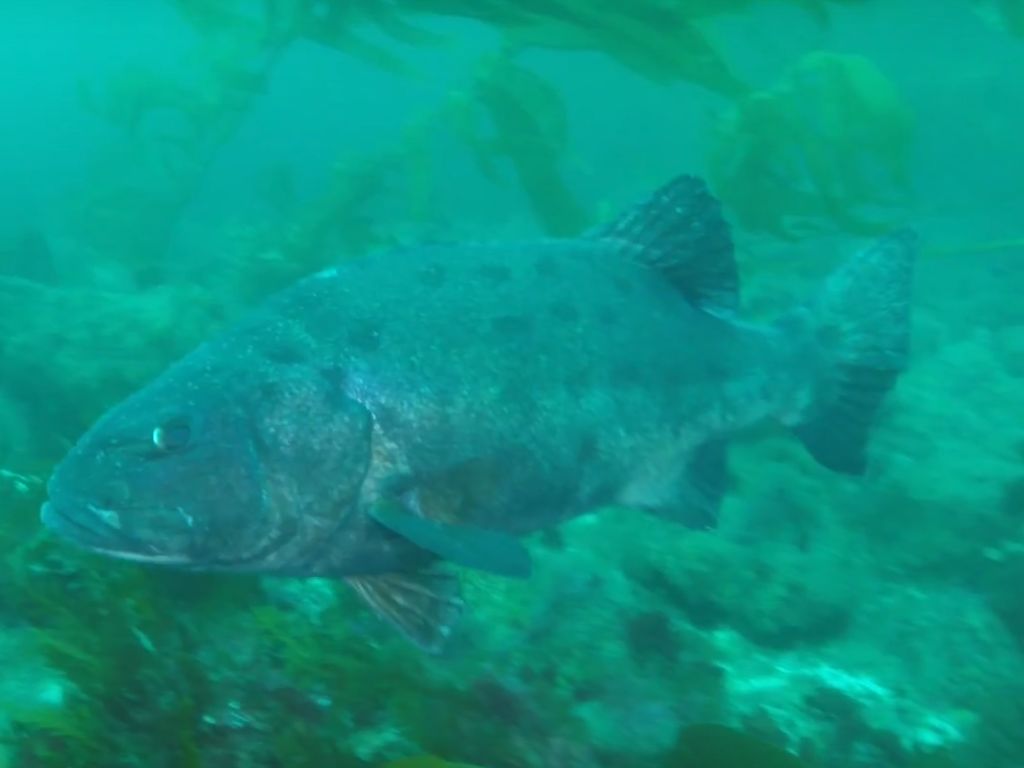 5c90b0dc-3346-4614-a40a-eec3170b7c04