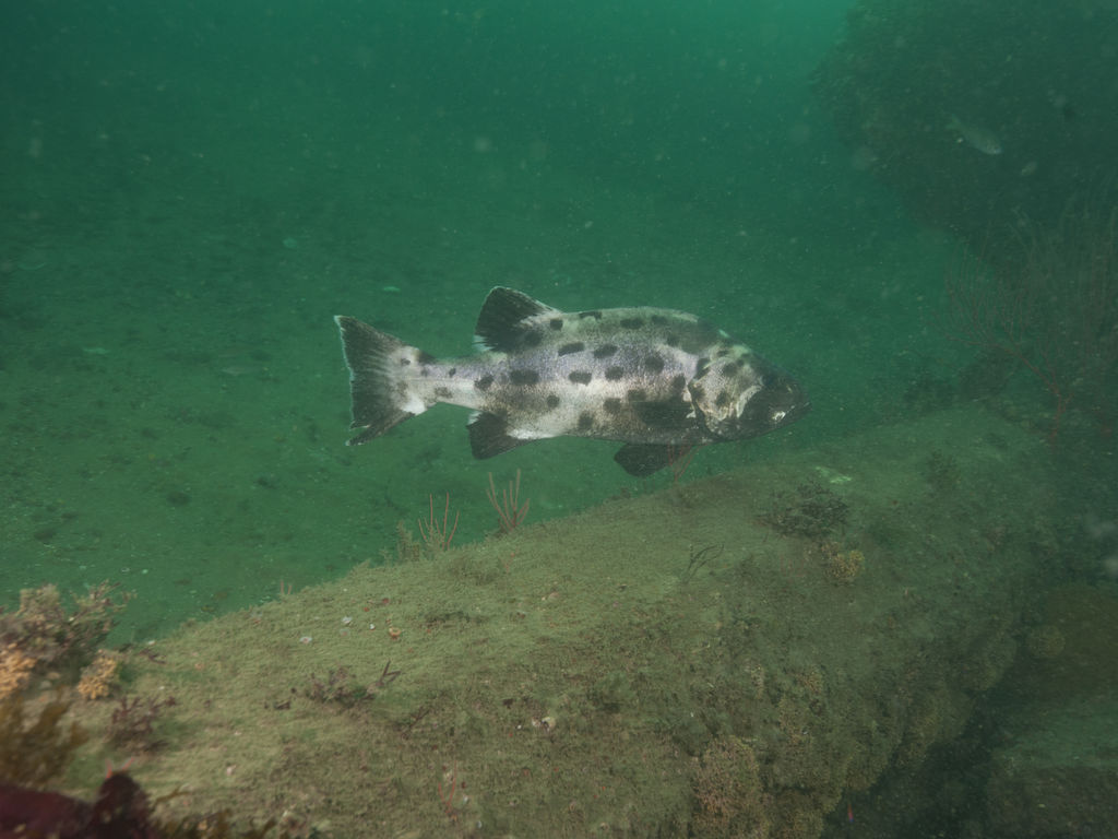 d18c3942-c896-476e-bfca-8aef39b081b7