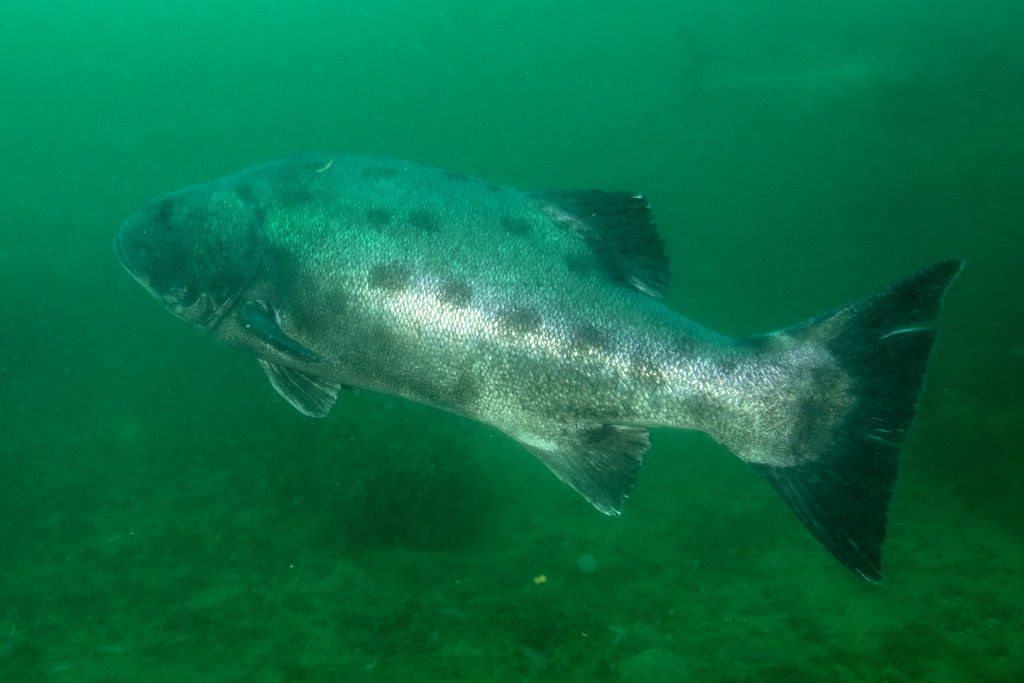 e9433761-6220-40b8-bb86-50713a296ad9