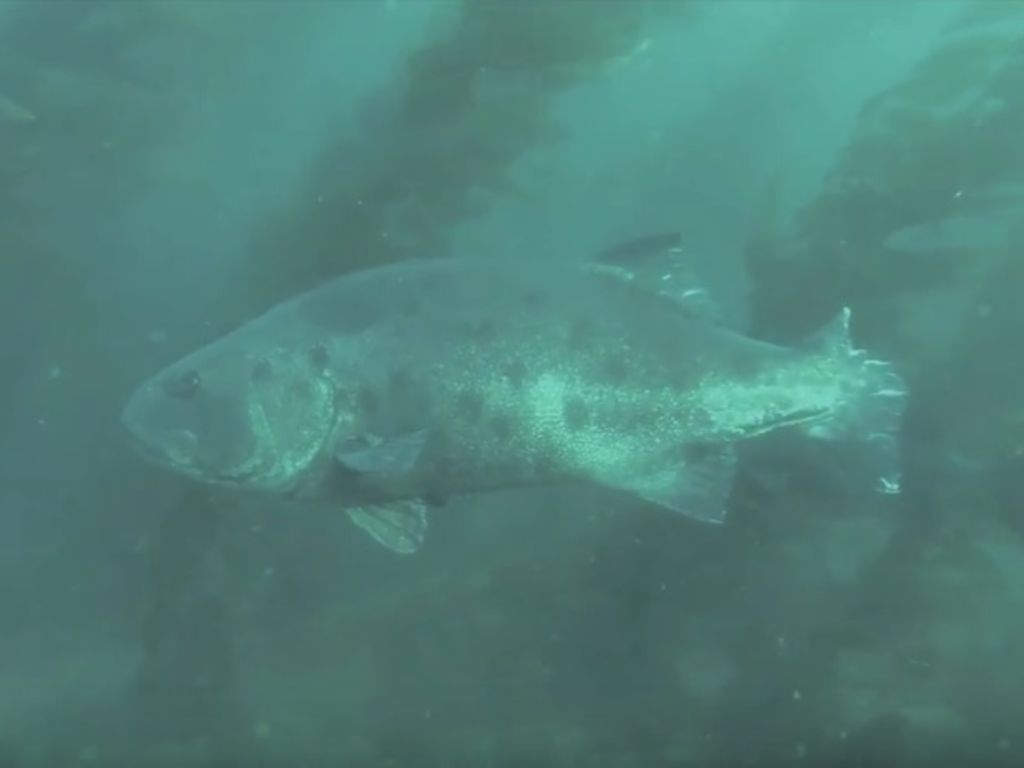 1016c639-8bc7-47d5-b7dd-00b50f6d7812