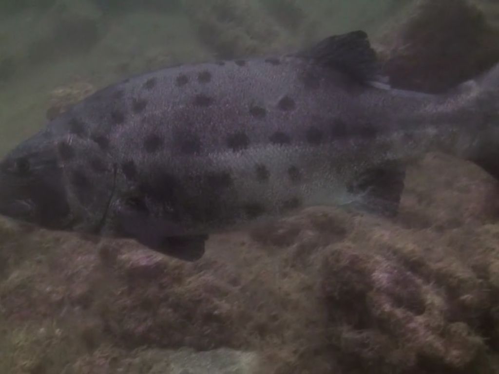 3a9fd69d-31f8-43fd-b75b-487e700429c2