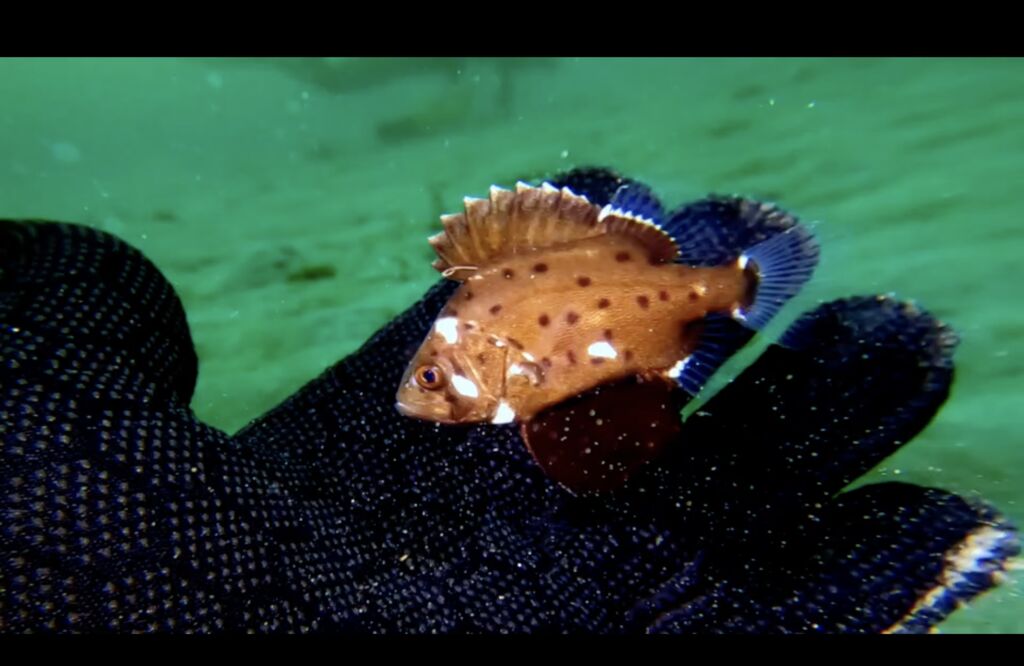 a233ca66-f1b2-4732-b839-6c729ee3c573