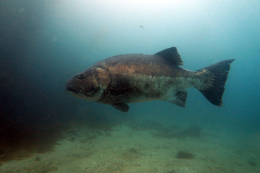 87ca64ec-b2ef-44b7-976f-c8f31731770c